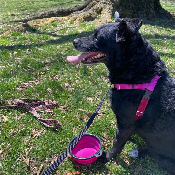 Meet your Posher, Maizy+Riley - Picture 10 of 12